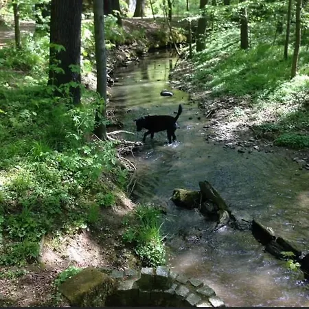 Gabriele Апартаменты Waldenburg (Saxony)