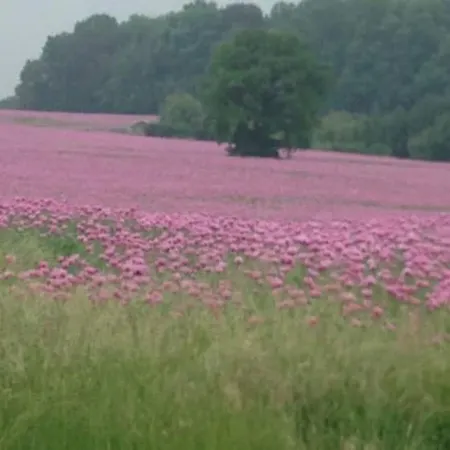 Gabriele Апартаменты Waldenburg (Saxony)