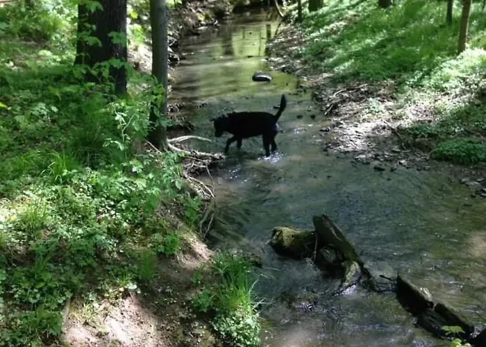 Gabriele Appartamento Waldenburg (Saxony)