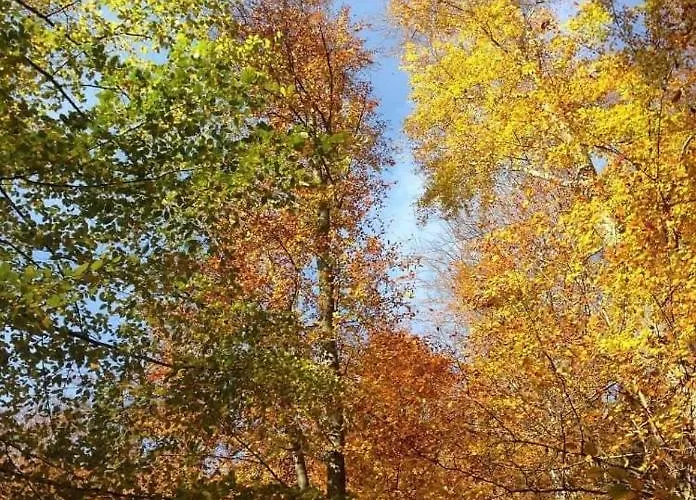 Appartamento Gabriele *